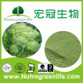 nature broccoli extract